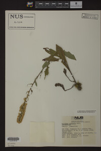 Image Associated With the Occurrence