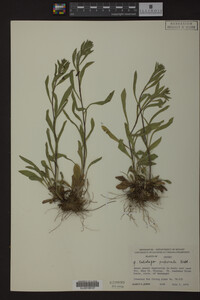 Image Associated With the Occurrence