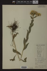 Image Associated With the Occurrence