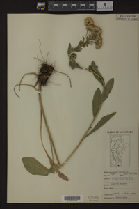 Image Associated With the Occurrence