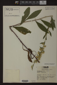 Image Associated With the Occurrence