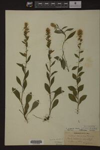 Image Associated With the Occurrence
