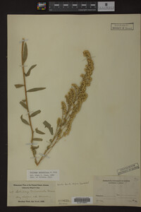 Image Associated With the Occurrence