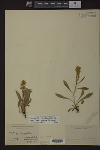 Image Associated With the Occurrence