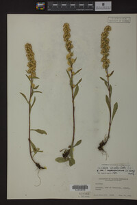 Image Associated With the Occurrence
