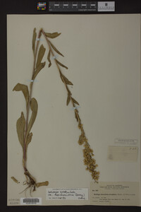 Image Associated With the Occurrence