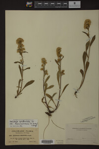 Image Associated With the Occurrence