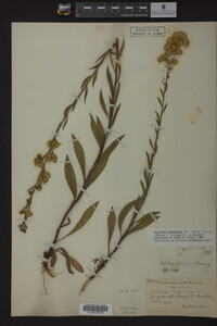 Image Associated With the Occurrence