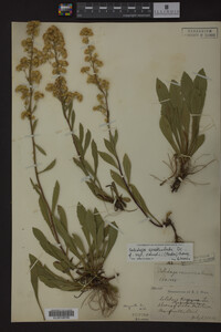 Image Associated With the Occurrence