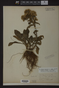 Image Associated With the Occurrence