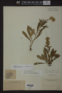 Image Associated With the Occurrence