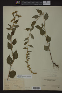 Image Associated With the Occurrence