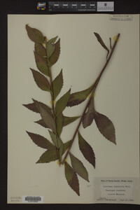 Image Associated With the Occurrence