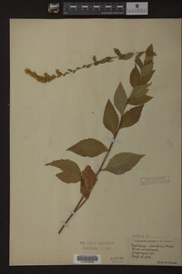 Image Associated With the Occurrence