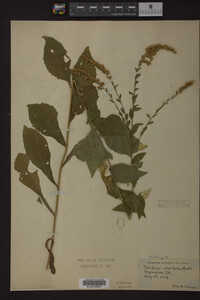 Image Associated With the Occurrence