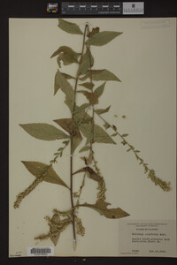 Image Associated With the Occurrence