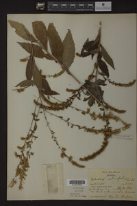 Image Associated With the Occurrence