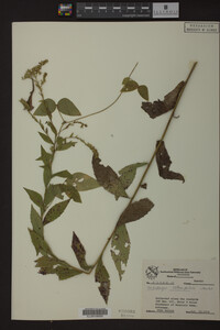 Image Associated With the Occurrence