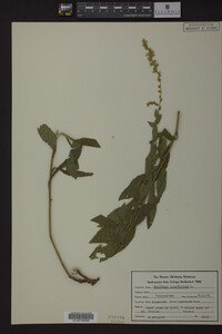 Image Associated With the Occurrence