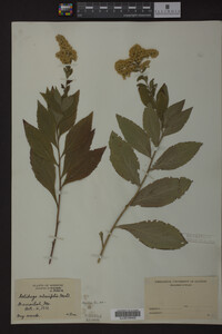 Image Associated With the Occurrence