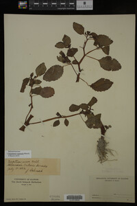 Image Associated With the Occurrence