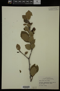 Image Associated With the Occurrence