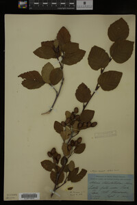Image Associated With the Occurrence