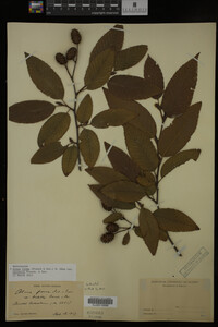 Image Associated With the Occurrence