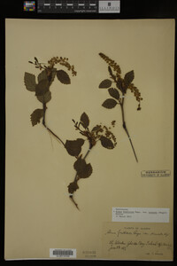 Image Associated With the Occurrence