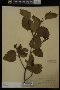 Image Associated With the Occurrence