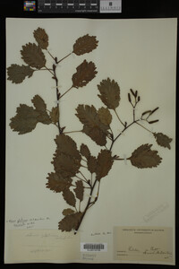 Image Associated With the Occurrence