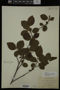 Image Associated With the Occurrence