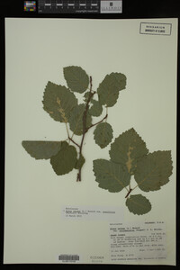 Image Associated With the Occurrence