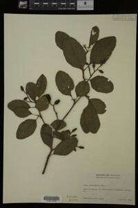 Image Associated With the Occurrence