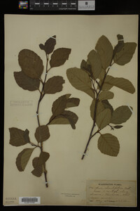 Image Associated With the Occurrence