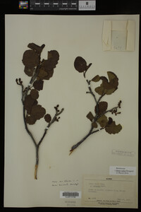 Image Associated With the Occurrence