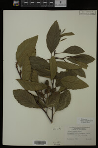 Image Associated With the Occurrence