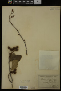 Image Associated With the Occurrence