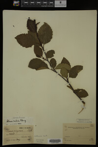 Image Associated With the Occurrence