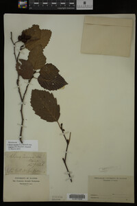 Image Associated With the Occurrence