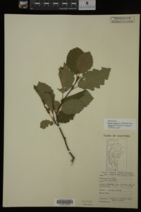 Image Associated With the Occurrence