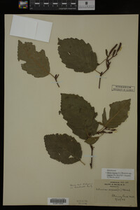 Image Associated With the Occurrence
