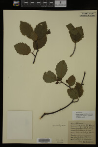 Image Associated With the Occurrence