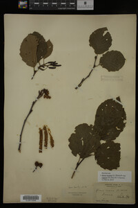 Image Associated With the Occurrence