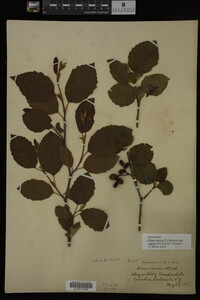 Image Associated With the Occurrence