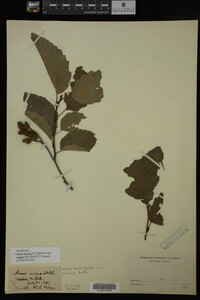 Image Associated With the Occurrence