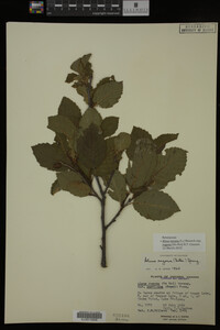 Image Associated With the Occurrence
