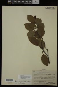 Image Associated With the Occurrence