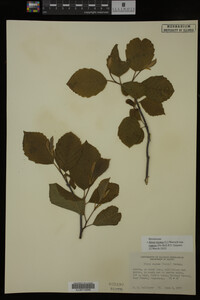 Image Associated With the Occurrence