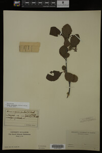 Image Associated With the Occurrence